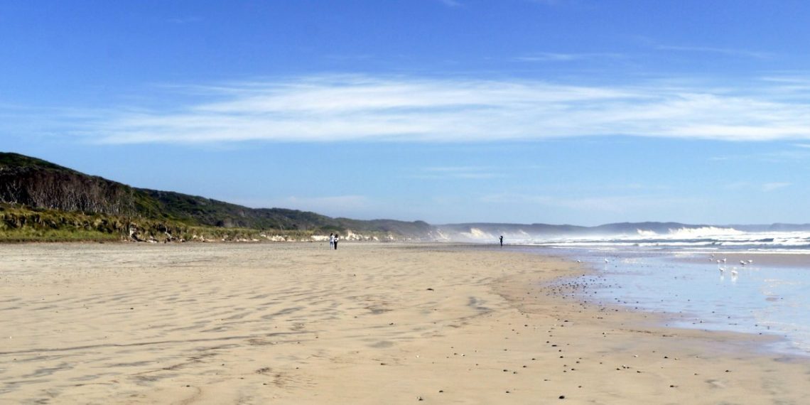 【塔斯馬尼亞西部二日遊】Lake St Clair聖克萊爾湖、Montezuma Falls、Henty  Dunes & Ocean Beach