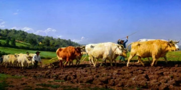 【歐洲自由行攻略】藝術書籍分享–文明的腳印、名畫的構造等7本書籍介紹