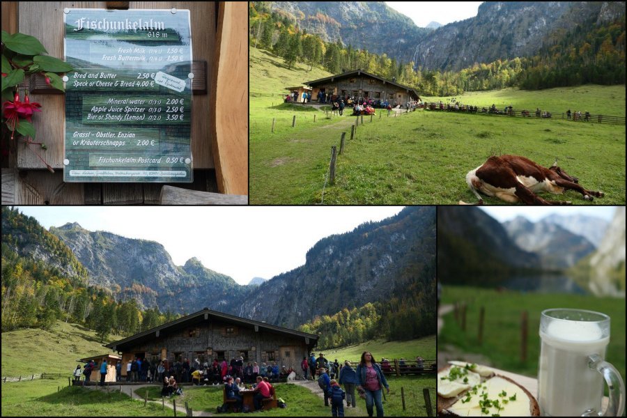德國-貝希特斯加登Berchtesgaden-國王湖Konigssee-Fischunkelalm牛奶小屋