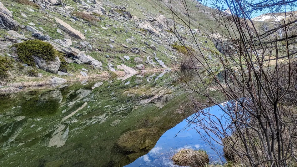 瑞士-五湖健行-Grünsee 