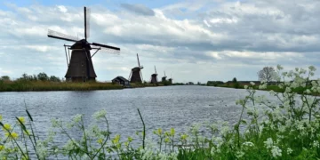 【荷蘭鹿特丹一日遊】小孩堤防、歐洲之桅、天鵝橋與博伊曼斯．范伯寧恩美術館漫遊