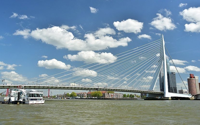荷蘭-鹿特丹-天鵝橋