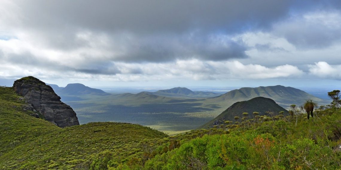 【南澳西澳十日遊Day 8】Stirling Range Mt Trio健行 & Quinninup 生態園區
