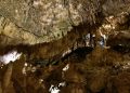 澳洲-瑪格麗特河-Ngilgi Cave