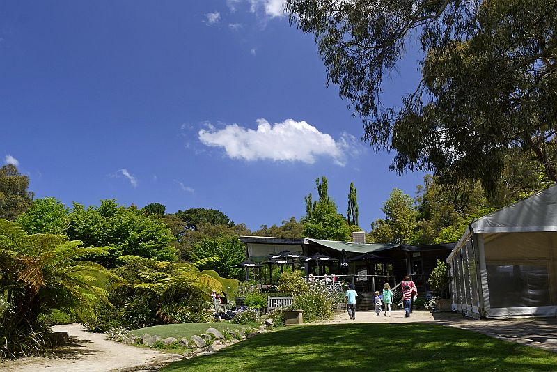 澳洲-摩寧頓半島-Ashcombe Maze & Lavender Gardens