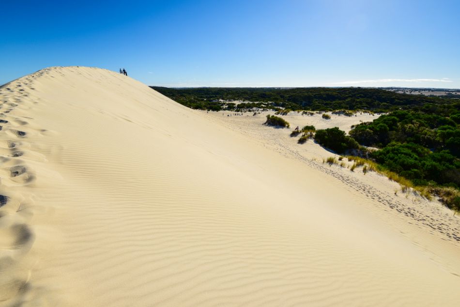 澳洲-袋鼠島-Little Sahara