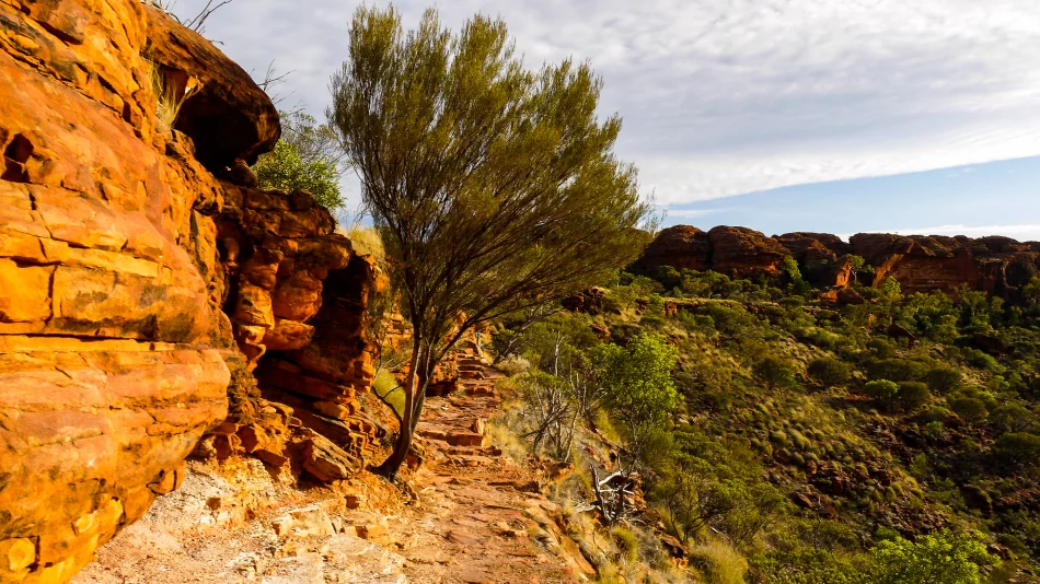 澳洲-北領地-國王峽谷Kings Canyon Rim Walk