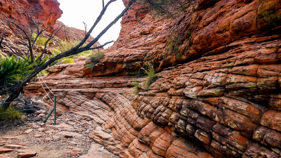 澳洲-北領地-國王峽谷Kings Canyon Rim Walk