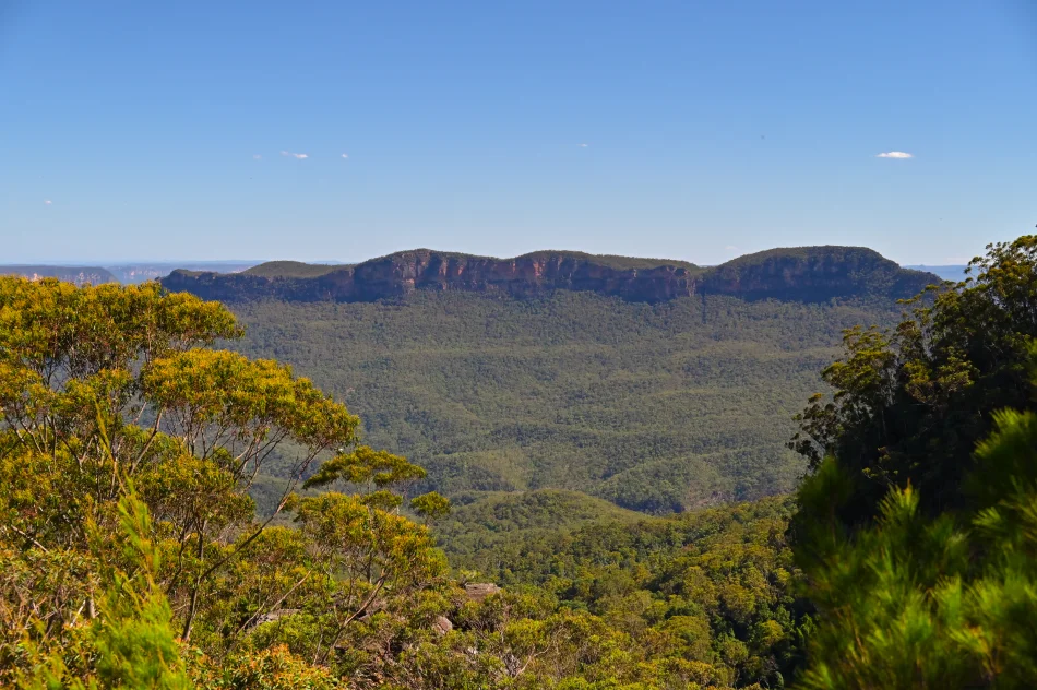 澳洲-藍山國家公園-Prince Henry Cliff walk