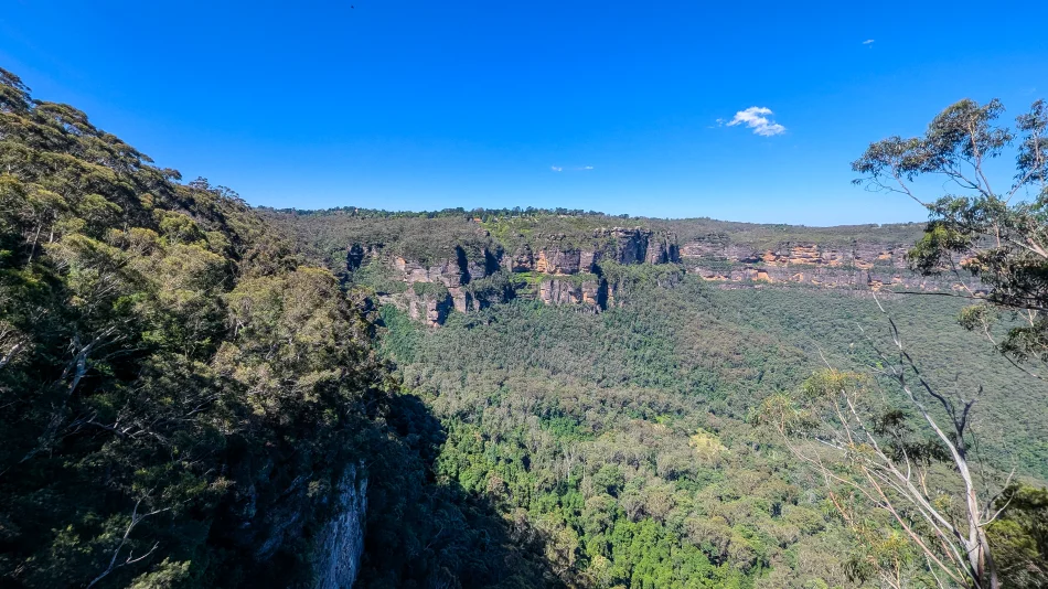 澳洲-藍山國家公園-Prince Henry Cliff walk