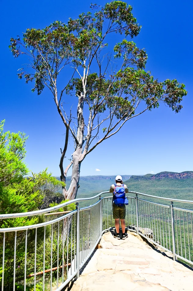 澳洲-藍山國家公園-Prince Henry Cliff walk
