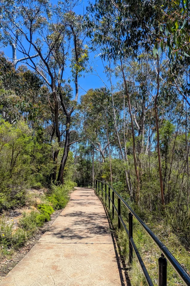 澳洲-藍山國家公園-Prince Henry Cliff walk