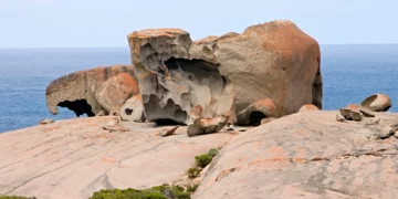【澳洲袋鼠島懶人包】袋鼠島簡介與位置說明、重點景點介紹、有用資訊分享
