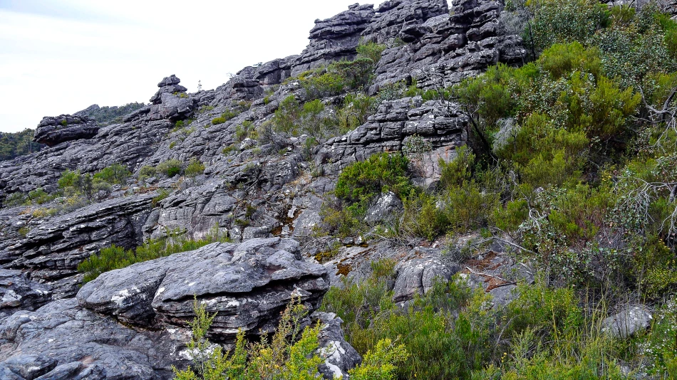 澳洲-格蘭坪國家公園-The Pinnacle健行