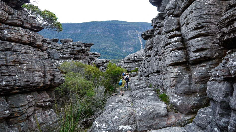 澳洲-格蘭坪國家公園-The Pinnacle健行的Grand Canyon