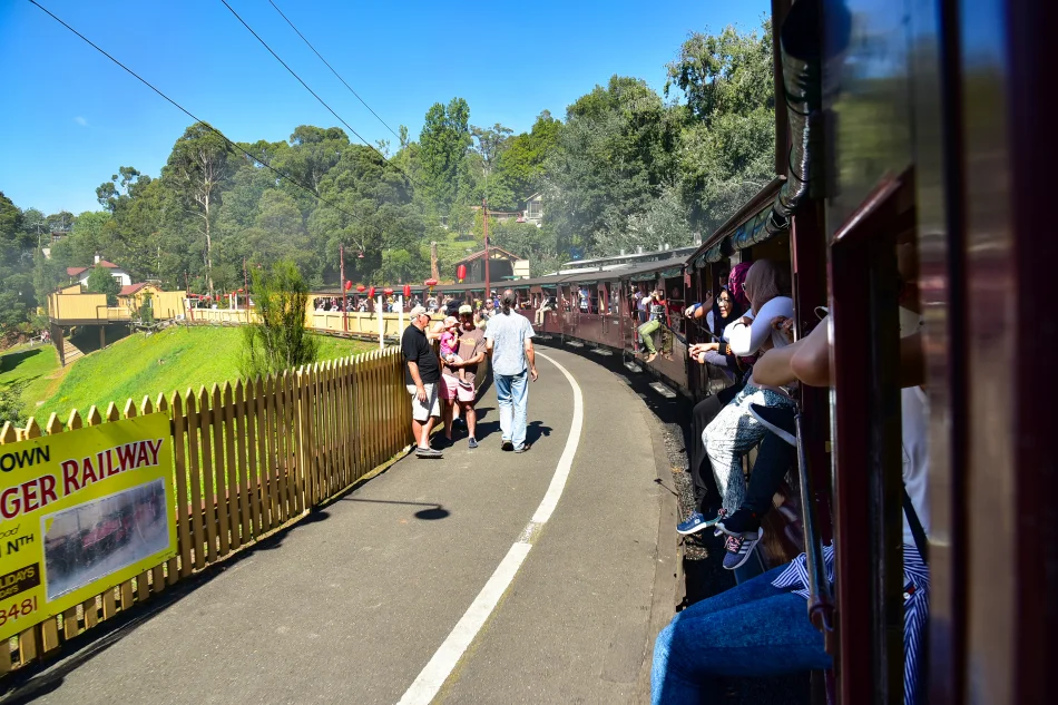 澳洲-墨爾本-普芬比利蒸氣火車Puffing Billy Railway