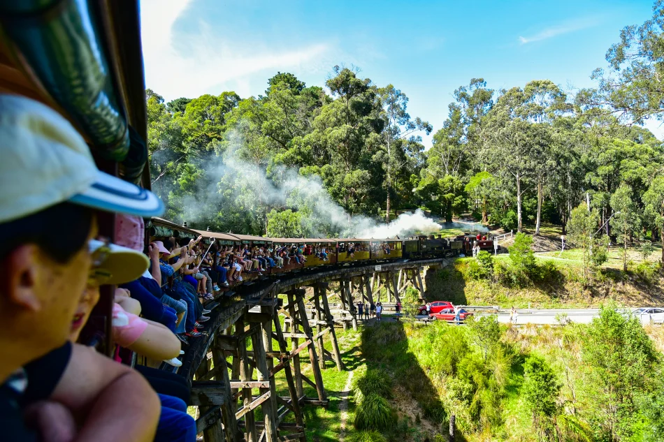 澳洲-墨爾本-普芬比利蒸氣火車Puffing Billy Railway