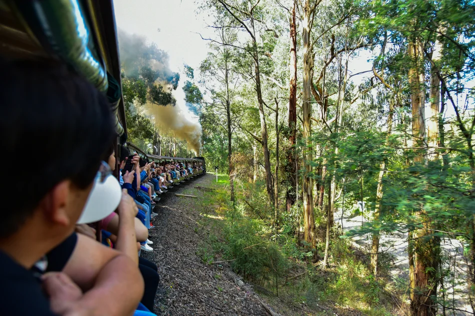 澳洲-墨爾本-普芬比利蒸氣火車Puffing Billy Railway