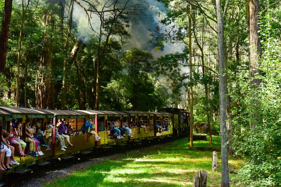 澳洲-墨爾本-普芬比利蒸氣火車Puffing Billy Railway