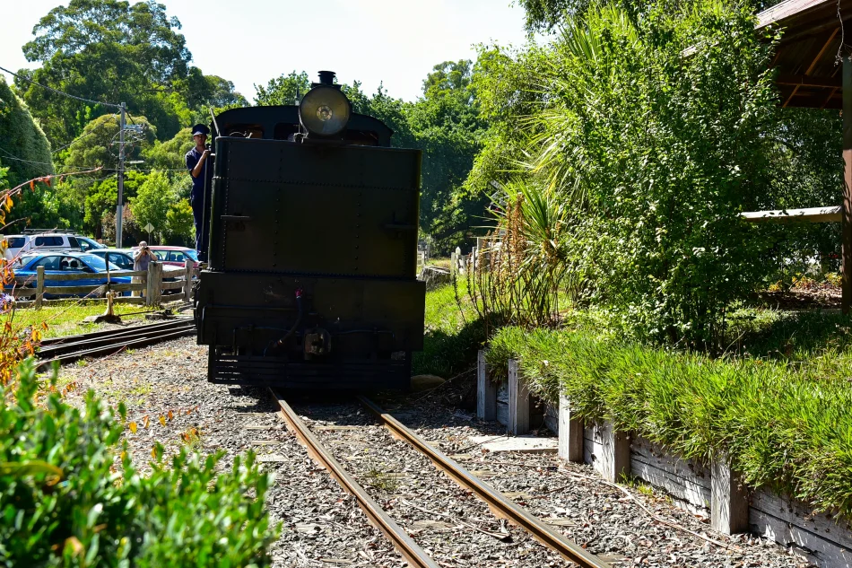澳洲-墨爾本-普芬比利蒸氣火車Puffing Billy Railway