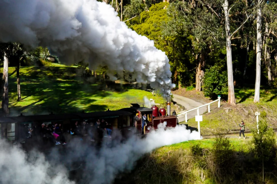 澳洲-墨爾本-普芬比利蒸氣火車Puffing Billy Railway