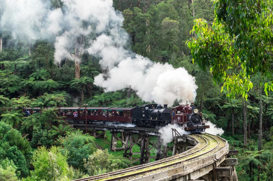 澳洲-墨爾本-普芬比利蒸氣火車Puffing Billy Railway