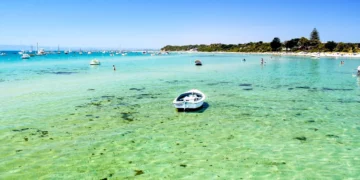 【墨爾本私房海灘】摩寧頓半島絕美海灘Sorrento Beach一日遊攻略與其他景點介紹