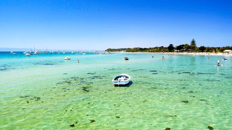 墨爾本-摩寧頓半島-絕美沙灘Sorrento Beach
