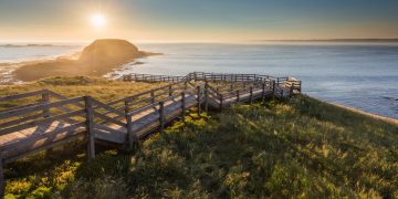 澳洲-維多利亞州-菲利普島