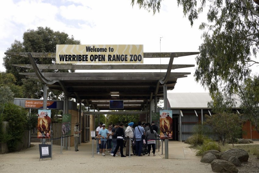 澳洲-墨爾本-威勒比開放動物園Werribee Open Range Zoo