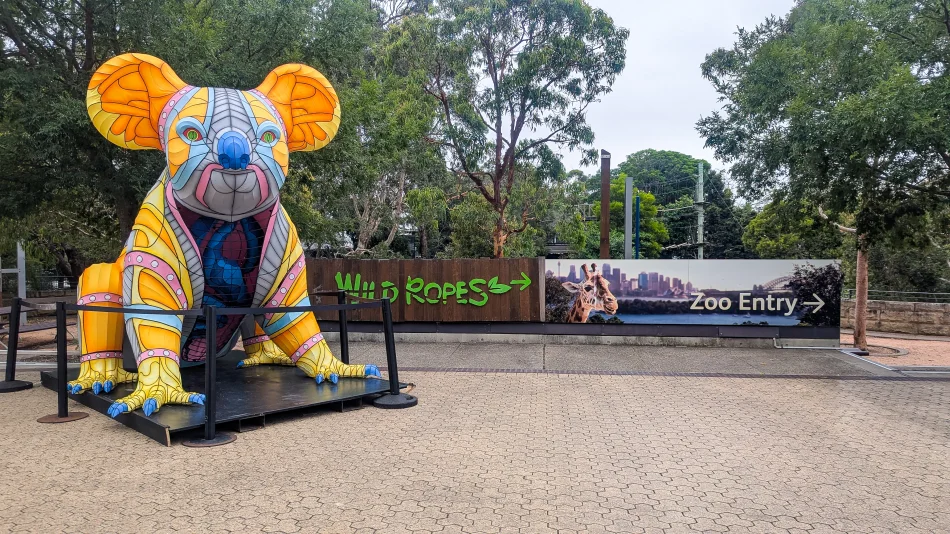 澳洲-雪梨-塔龍加動物園