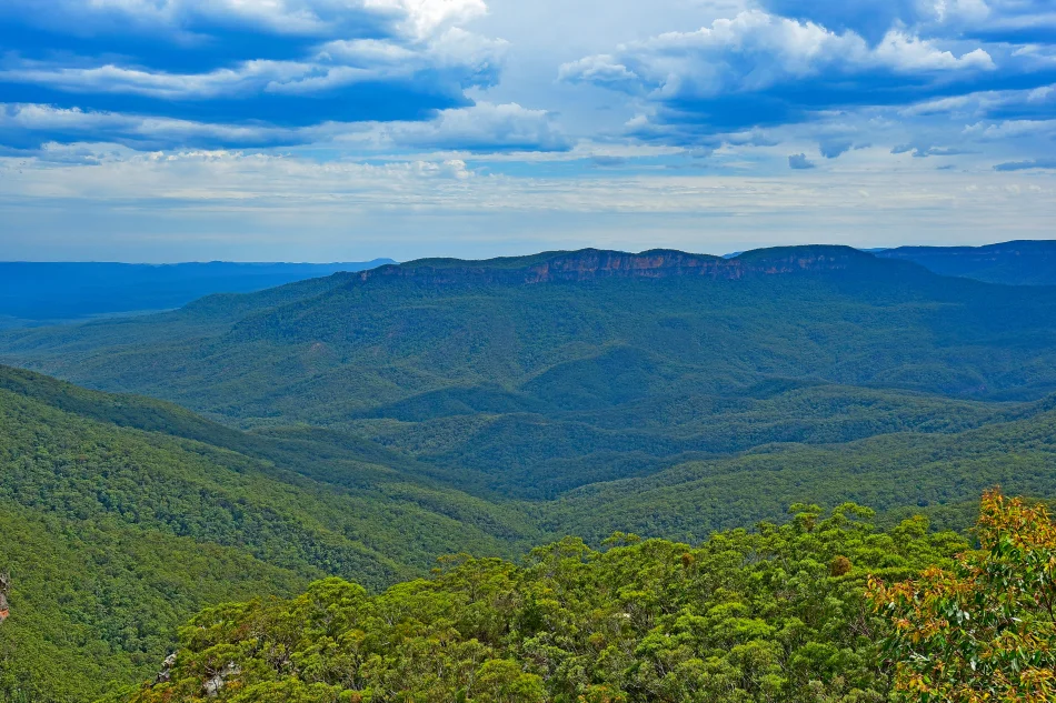 澳洲-藍山國家公園-Wentworth Falls Lookout