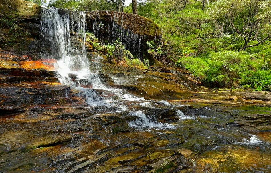 澳洲-藍山國家公園-Wentworth Falls Lookout