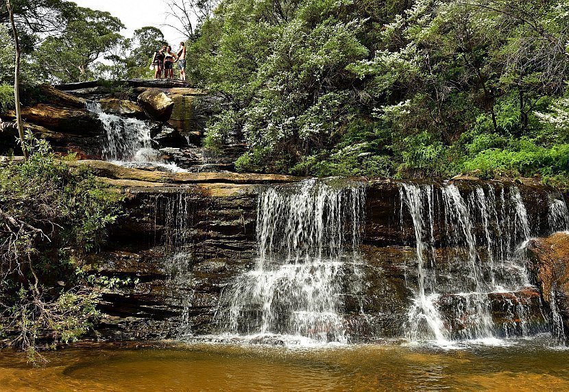 澳洲-新南威爾斯-藍山國家公園- Wentworth Falls