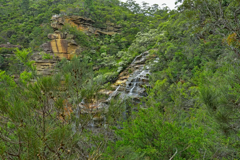 澳洲-藍山國家公園-Wentworth Falls Lookout