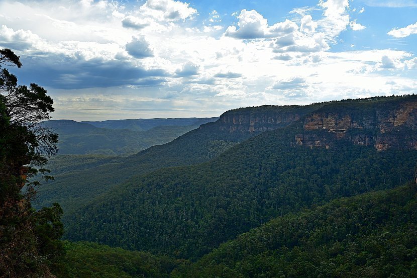 澳洲-新南威爾斯-藍山國家公園- Princes Rock Lookout