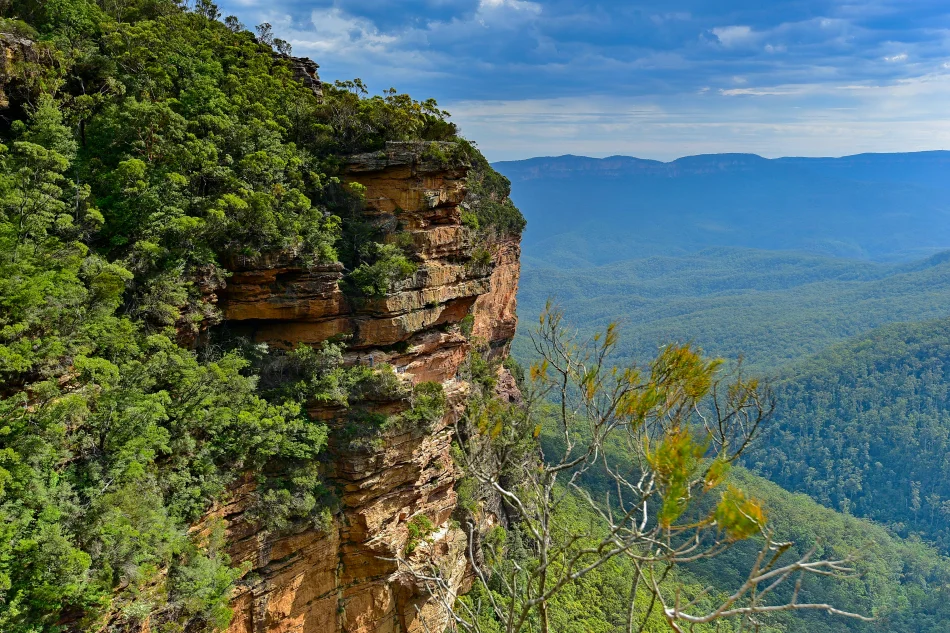 澳洲-藍山國家公園-Wentworth Falls Lookout
