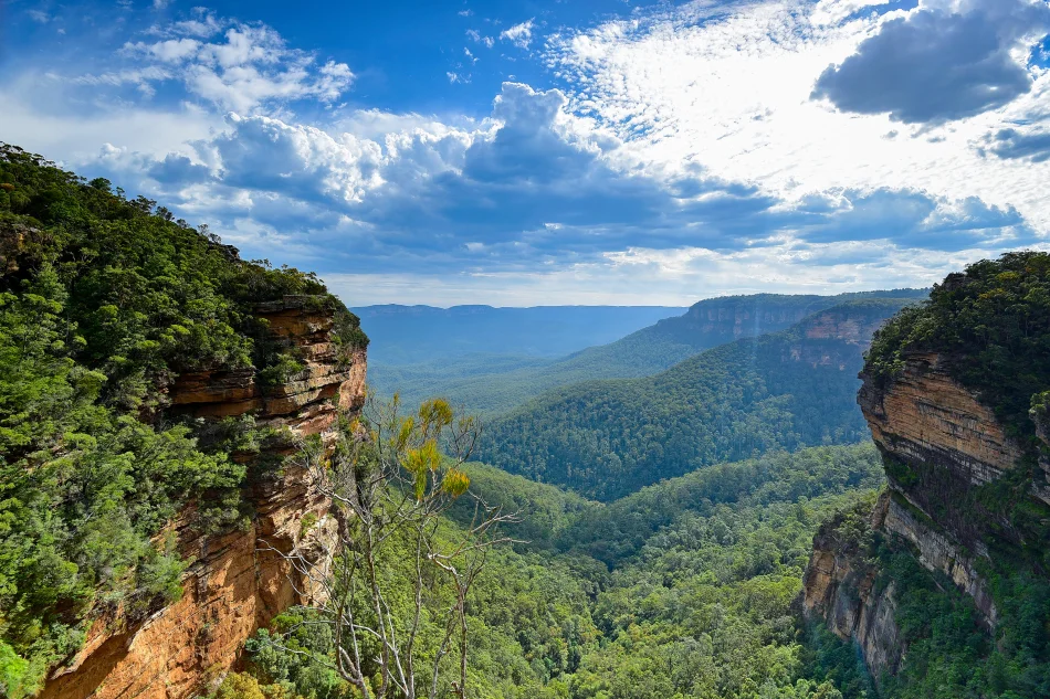 澳洲-藍山國家公園-Wentworth Falls Lookout