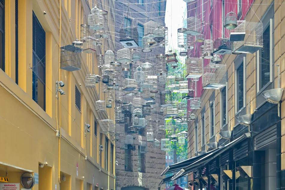 澳洲-雪梨-Angel Pl