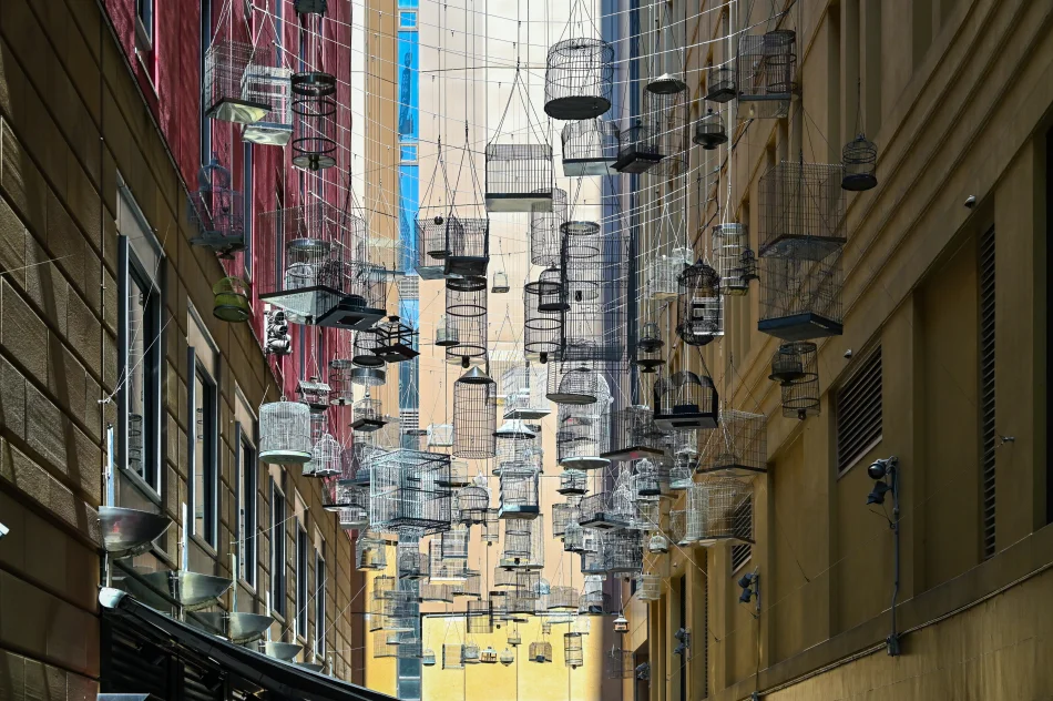 澳洲-雪梨-Angel Pl