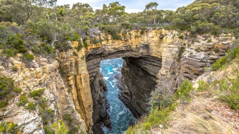 澳洲-塔斯馬尼亞-塔斯曼拱門Tasmans Arch