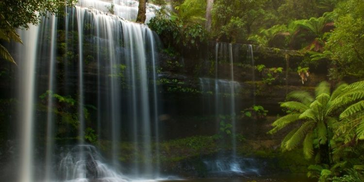 澳洲-塔斯馬尼亞-Russell Falls