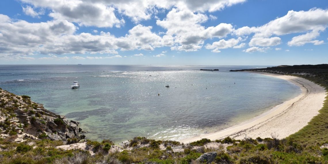 【西澳伯斯必去景點】羅特尼斯島Rottnest Island自行車環島一日遊