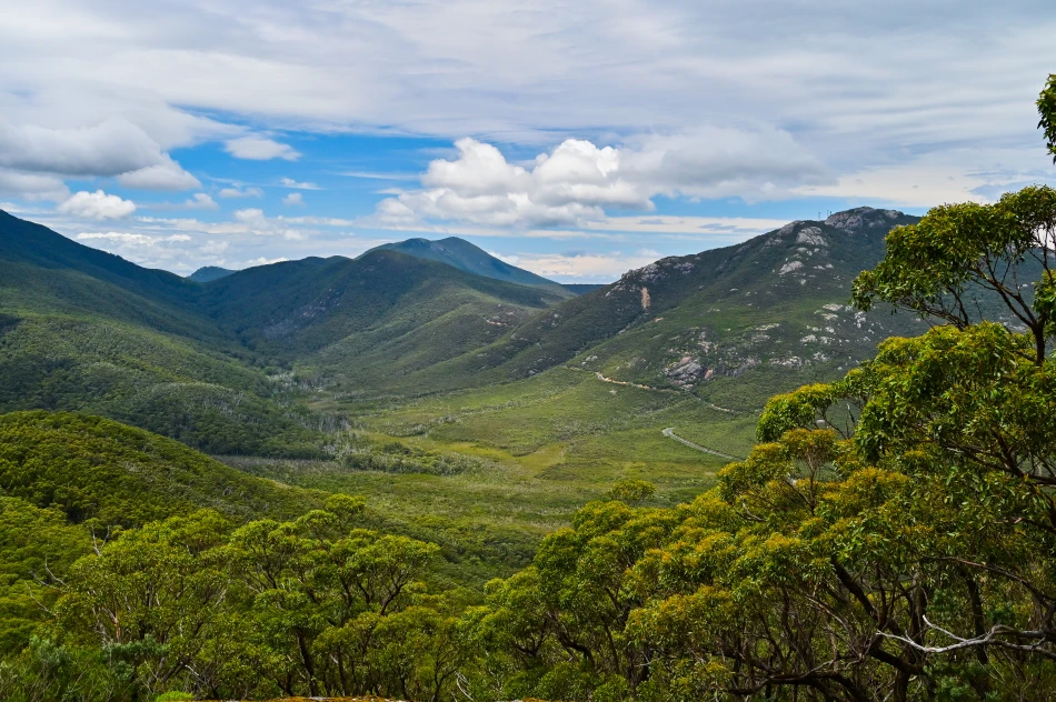 澳洲-威爾遜岬國家公園-Mt Bishop 健行