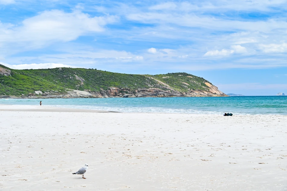 澳洲-威爾遜岬國家公園-Squeaky Beach