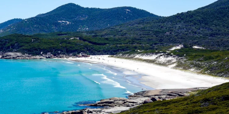 【墨爾本秘境景點】威爾遜岬國家公園一日遊:Mt Bishop、Squeaky Beach、Tidal River等景點漫遊