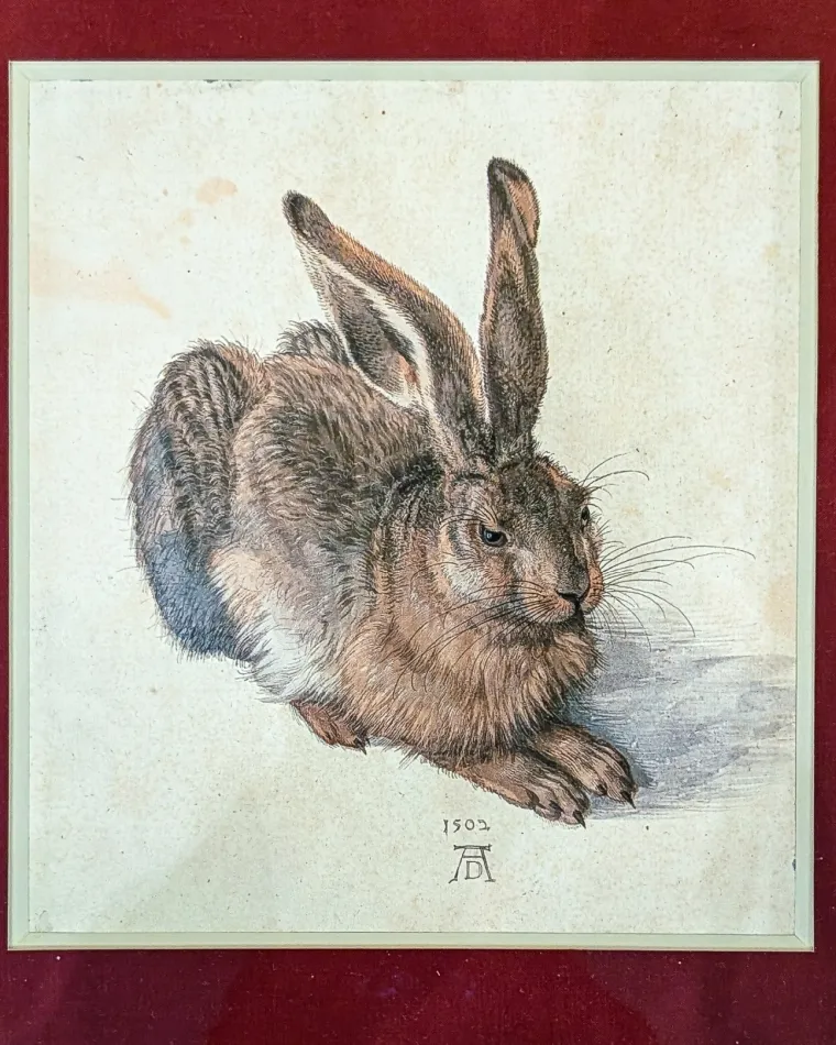 奧地利-維也納-阿爾貝蒂娜博物館