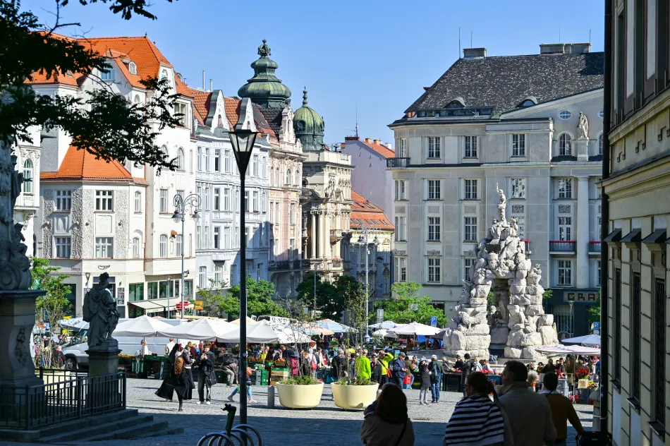 捷克-布爾諾-捲心菜市場