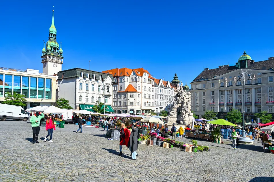 捷克-布爾諾-捲心菜市場