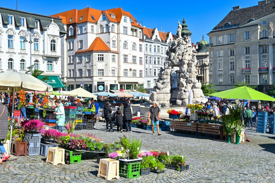 捷克-布爾諾-捲心菜市場